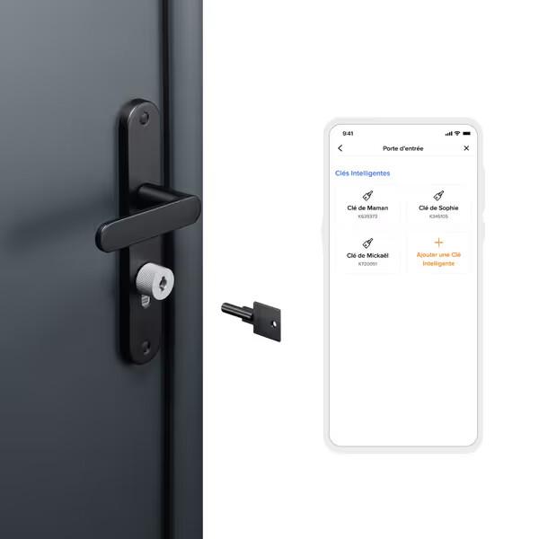 smart door lock and keys