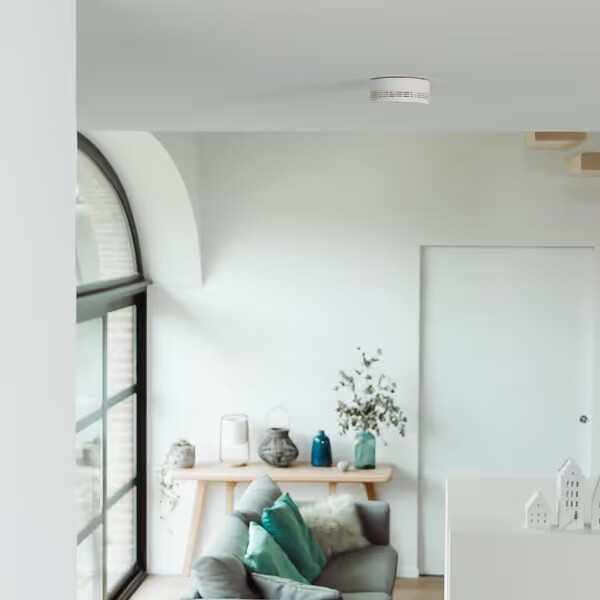 smart smoke detector pack x 2